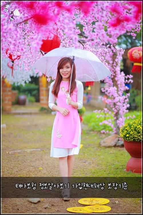 태아보험 정보알아보기  가입현대해상 보장기준