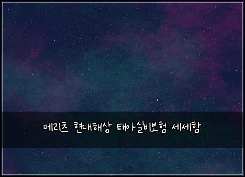 메리츠 현대해상 태아실비보험 세세함 