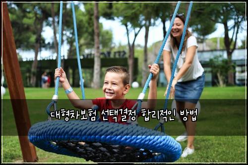 대형차보험 선택결정  합리적인 방법