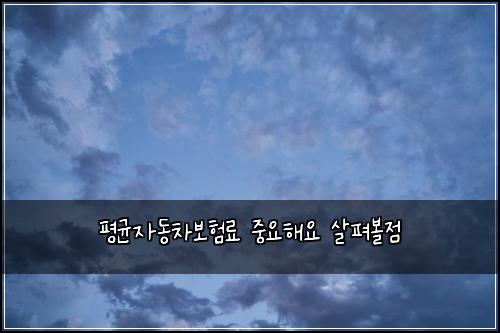 평균자동차보험료 중요해요 살펴볼점