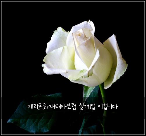 메리츠화재태아보험 설계법  이겁니다