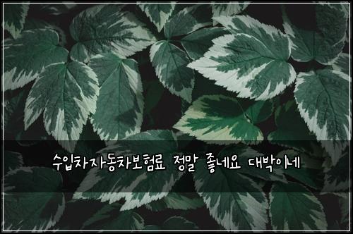 ์์
์ฐจ์๋์ฐจ๋ณดํ๋ฃ ์ ๋ง ์ข๋ค์ ๋๋ฐ์ด๋ค