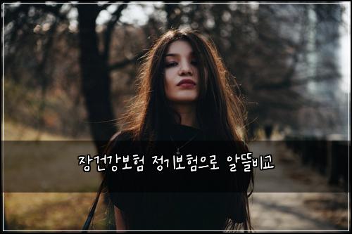 장건강보험 정기보험으로 알뜰비교