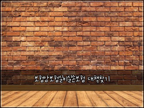 보험암보험실비실손보험 대책찾기