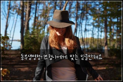 동부생명정기보험나에게 맞는 믿을만해요