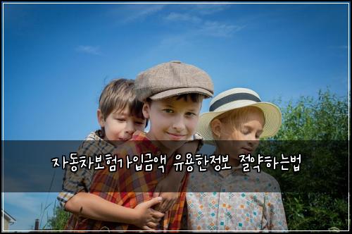 ์๋์ฐจ๋ณดํ๊ฐ์
๊ธ์ก ์ ์ฉํ์ ๋ณด ์ ์ฝํ๋๋ฒ