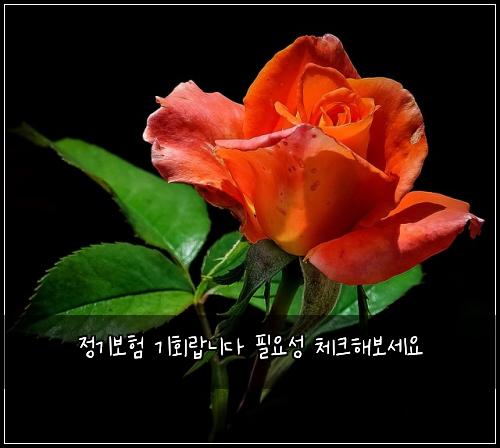 ģ źø°ė³“ķ źø°ķėėė¤ ķģģ± ģ²“ķ¬ķ“볓ģøģ