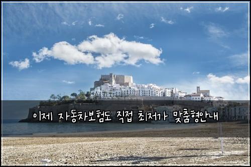 이제 자동차보험도 직접 최저가 맞춤형안내