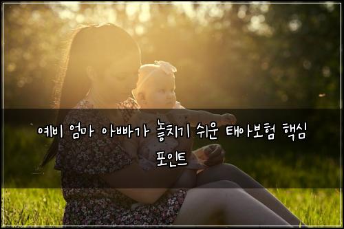 예비 엄마 아빠가 놓치기 쉬운 태아보험 핵심 포인트