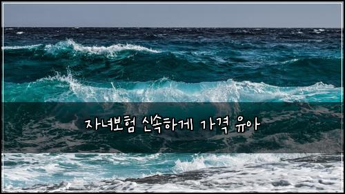 ์๋
๋ณดํ ์ ์ํ๊ฒ ๊ฐ๊ฒฉ ์ ์