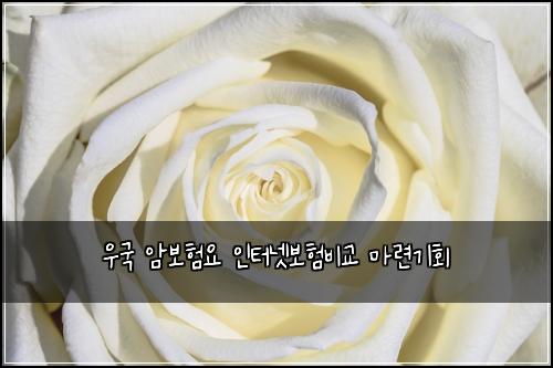 우국 암보험요 인터넷보험비교 마련기회