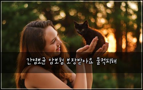 간염보균 암보험 보장받아요  물적피해