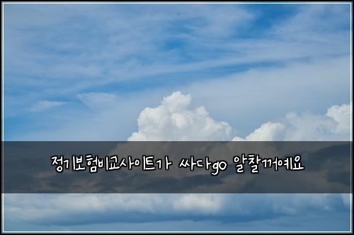 ์ ๊ธฐ๋ณดํ๋น๊ต์ฌ์ดํธ๊ฐ ์ธ๋คgo ์์ฐฐ๊บผ์์
