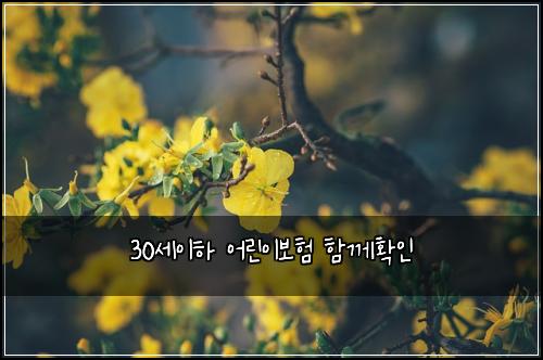 30์ธ์ดํ ์ด๋ฆฐ์ด๋ณดํ ํจ๊ปํ์ธ