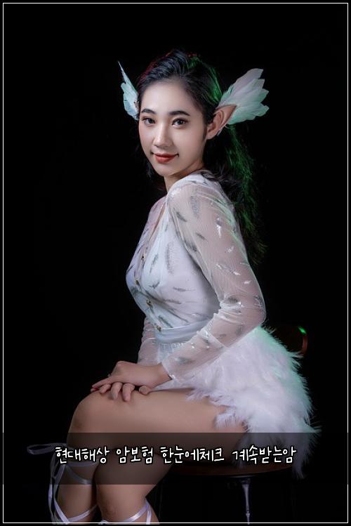 현대해상 암보험 한눈에체크  계속받는암
