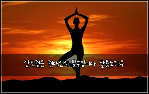 암보험은 현대인의 필수입니다 활용노하우