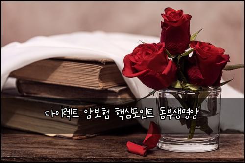 ๋ค์ด๋ ํธ ์๋ณดํ ํต์ฌํฌ์ธํธ ๋๋ถ์๋ช
์