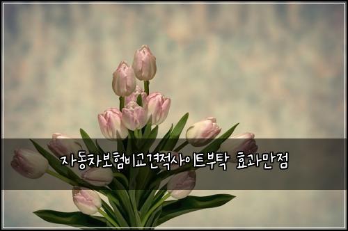 ์๋์ฐจ๋ณดํ๋น๊ต๊ฒฌ์ ์ฌ์ดํธ๋ถํ ํจ๊ณผ๋ง์ 