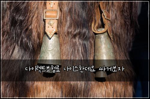 다이렉트보험료 나이스한데요 싸게보자