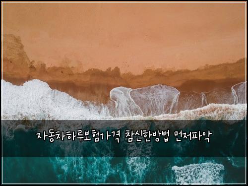 ์๋์ฐจํ๋ฃจ๋ณดํ๊ฐ๊ฒฉ ์ฐธ์ ํ๋ฐฉ๋ฒ ๋จผ์ ํ์