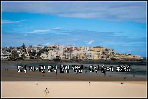 토익 라이팅 토익 문법 핵심 : 토익 문제 #236