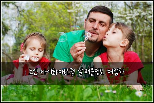 노인 아이화재보험 살펴볼정보  저렴한