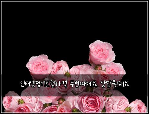 인터넷정기보험가격 두번째에요 상담원해요