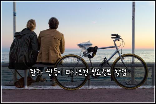 한화 쌍둥이 태아보험 필요정보  할점