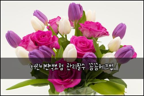 어린이변액보험 관리필수  꼼꼼체크법