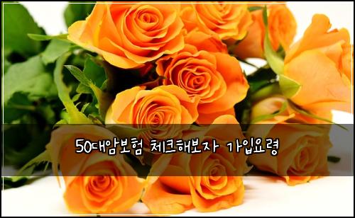 50대암보험 체크해보자  가입요령
