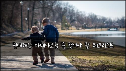 현대해상 다태아보험 꼭 챙겨야 할 체크리스트
