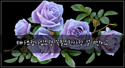ํ์๋ณดํ๊ฐ์
์๋ น ๊ผญํ์ํ์ฌํญ ์ค๊ณ์๋น๊ต