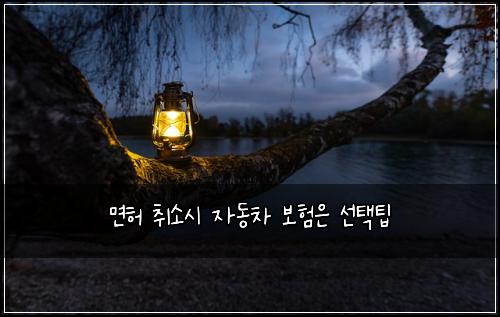 ๋ฉดํ ์ทจ์์ ์๋์ฐจ ๋ณดํ์ ์ ํํ