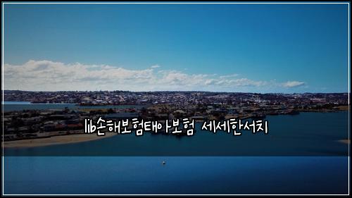 lib손해보험태아보험 세세한서치