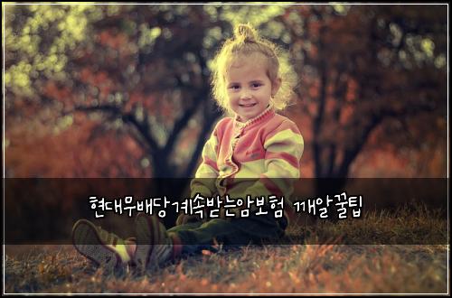 현대무배당계속받는암보험 깨알꿀팁 