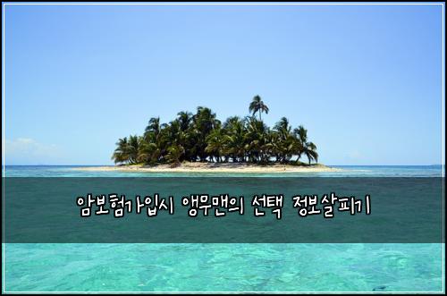 암보험가입시 앵무맨의 선택 정보살피기
