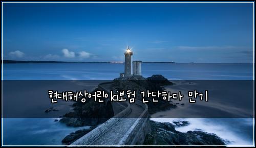 현대해상어린이ci보험 간단하다  만기