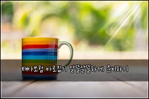 태아보험 바로집기  알뜰살뜰하게 준비하기