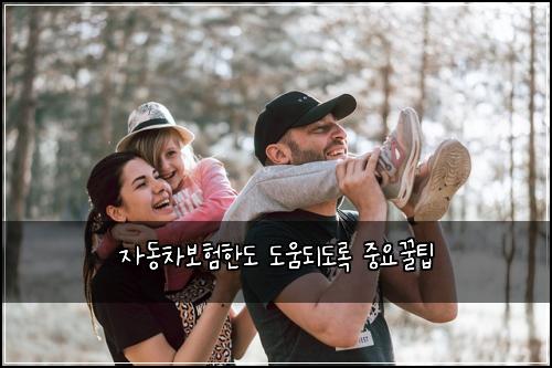 자동차보험한도 도움되도록 중요꿀팁
