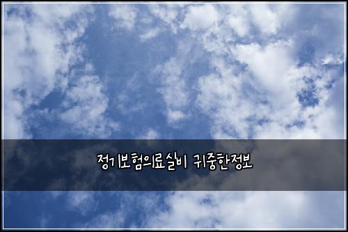정기보험의료실비 귀중한정보