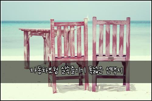 자동차보험 실속즐기기  폭넓은 선택지