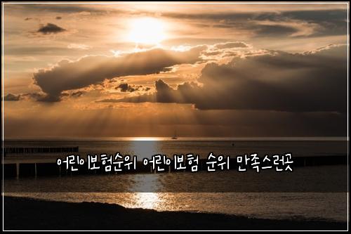 어린이보험순위 어린이보험 순위 만족스런곳