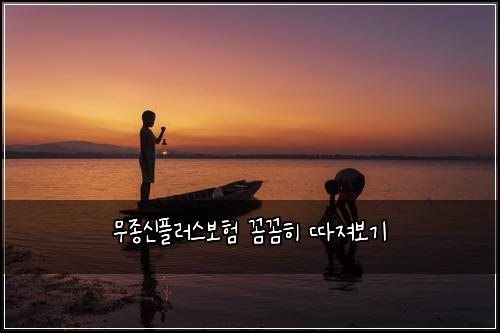 무종신플러스보험 꼼꼼히 따져보기