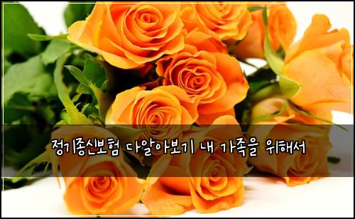 정기종신보험 다알아보기  내 가족을 위해서