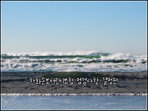 한화손보어린이보험 점검사항  결정판