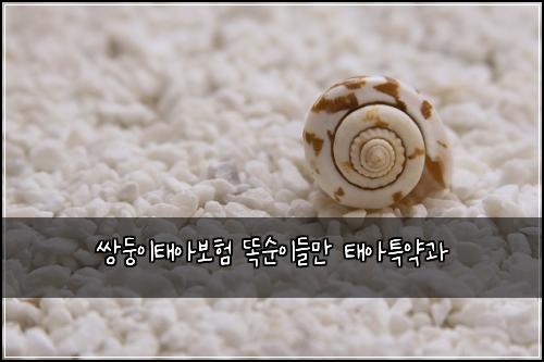 쌍둥이태아보험 똑순이들만  태아특약과