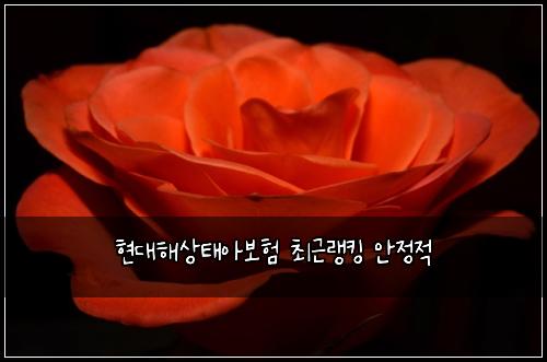 현대해상태아보험 최근랭킹  안정적