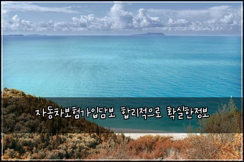 자동차보험가입담보 합리적으로 확실한정보