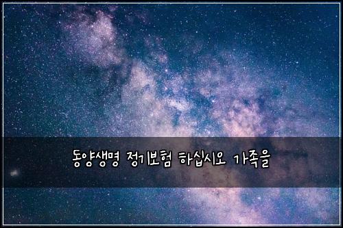 동양생명 정기보험 하십시오  가족을