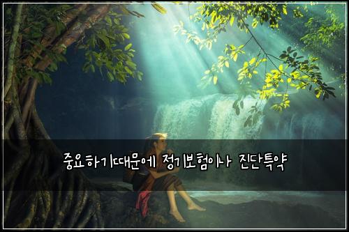 중요하기때문에 정기보험이나 진단특약